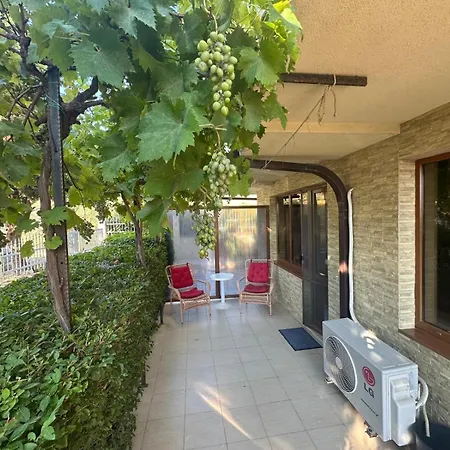 Sunny Seasons Byala *